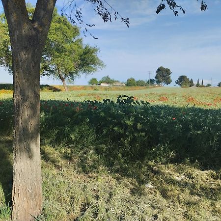 Casa Rural El Realengo Лас-Касас Экстерьер фото
